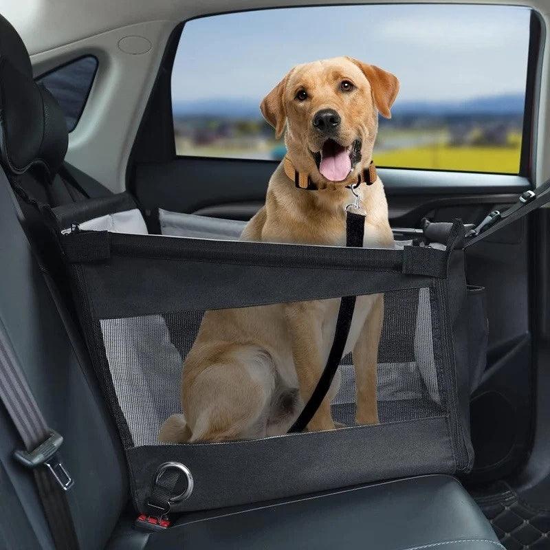 Car Pet Mat - Evoevs